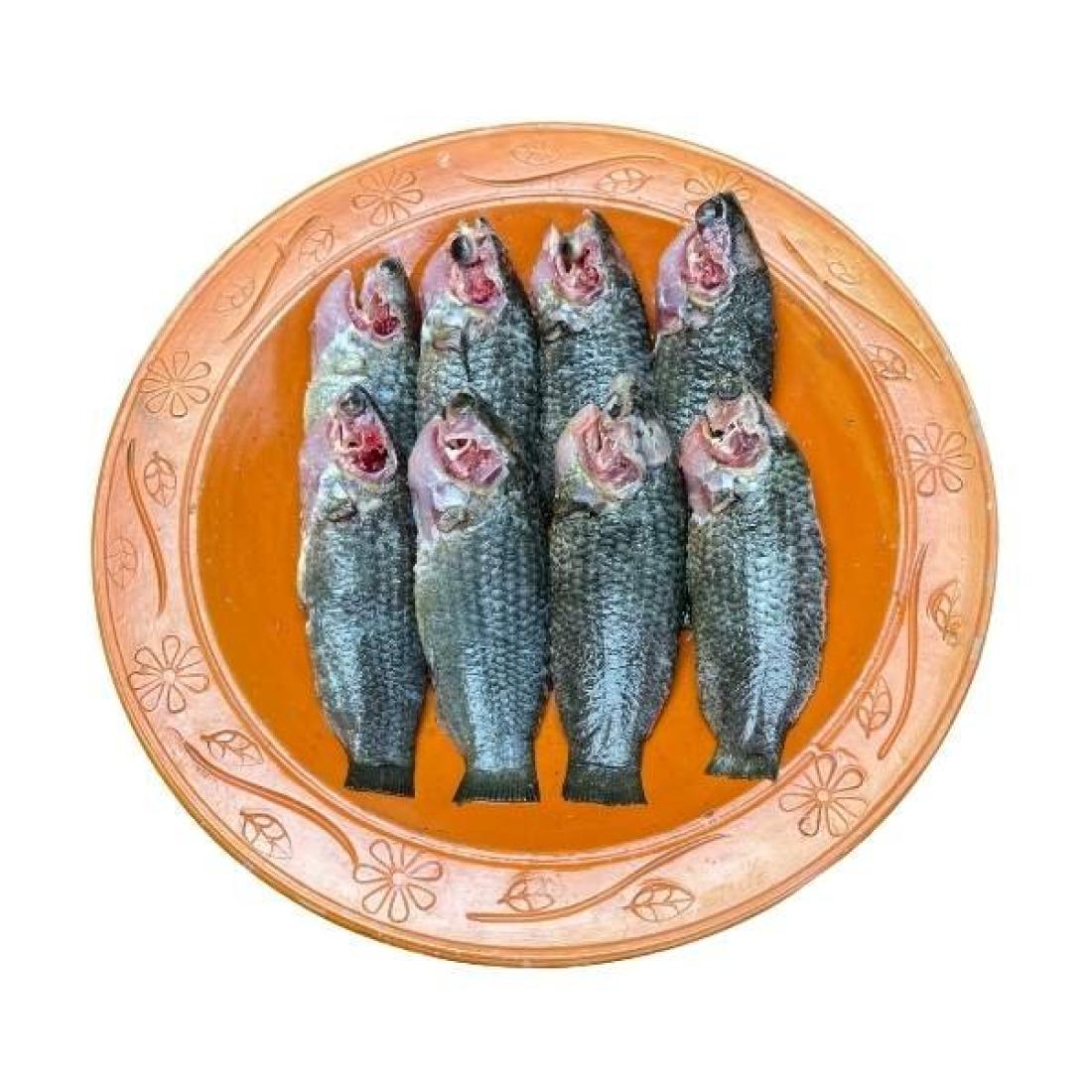 দেশি কই মাছ